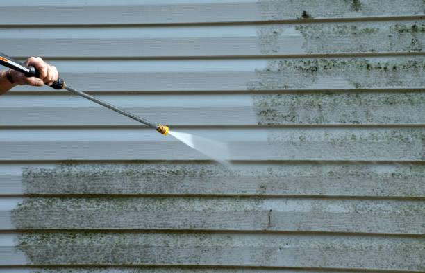 Best Commercial Pressure Washing  in Baraga, MI