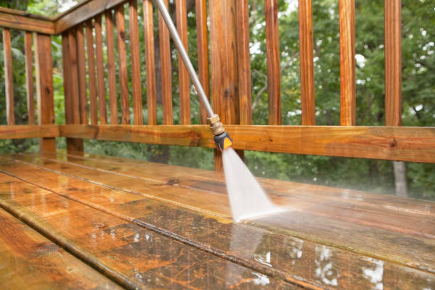 Best House Pressure Washing  in Baraga, MI